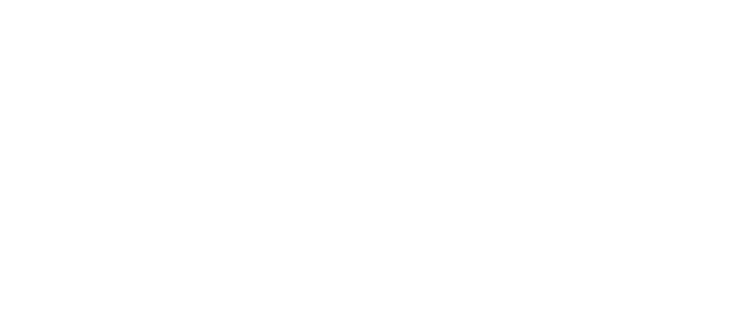 EU Support badge